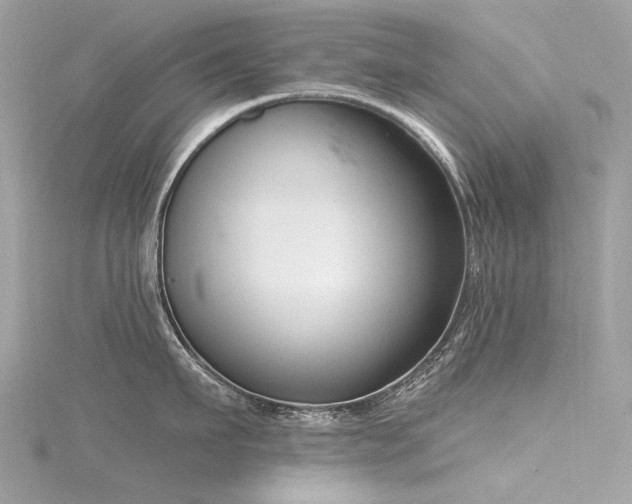 X0000116340911200912011347