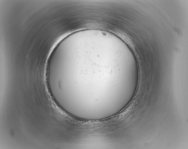 X0000116340912200912011347