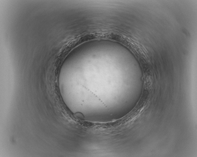 X0000116340913200912011346