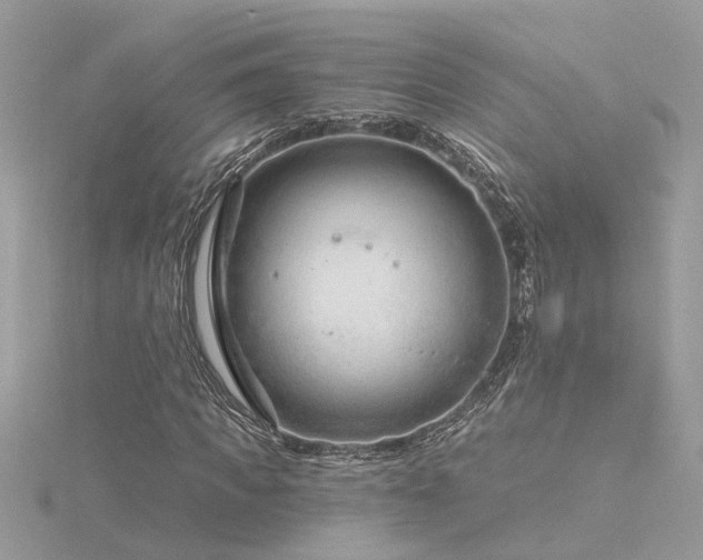 X0000116340917200912011346