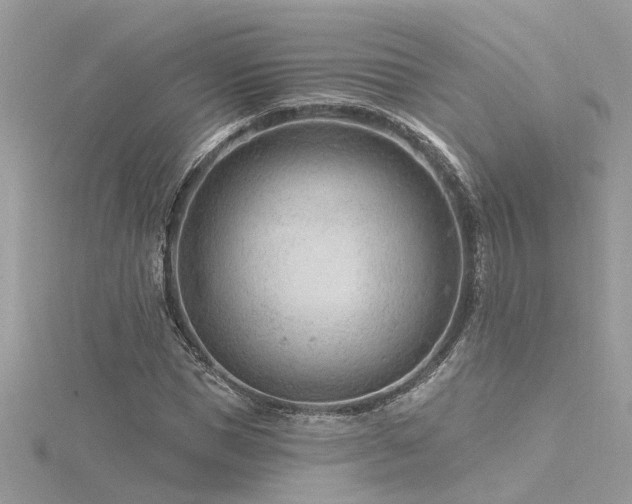 X0000116340921200912011346