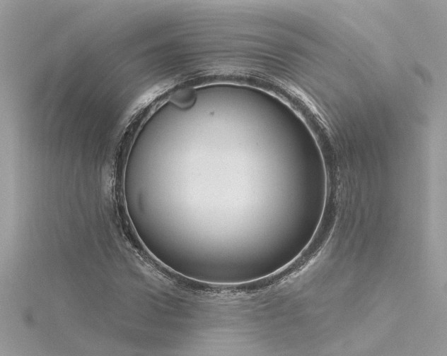 X0000116340922200912011346