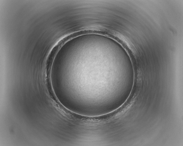 X0000116340923200912011346