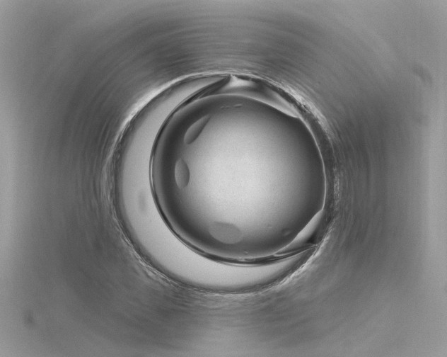 X0000116340925200912011346