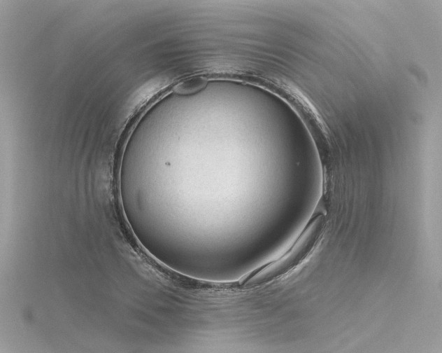 X0000116340930200912011346