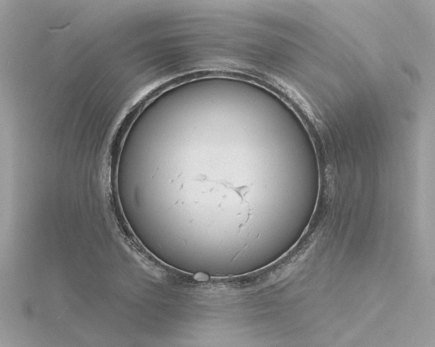 X0000116340931200912011346