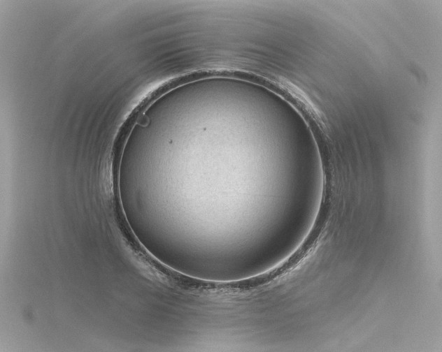 X0000116340934200912011346