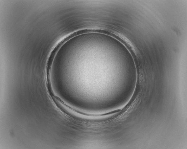 X0000116340935200912011346