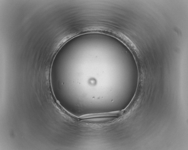 X0000116340937200912011346