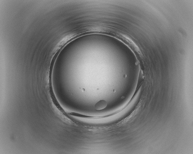 X0000116340938200912011346