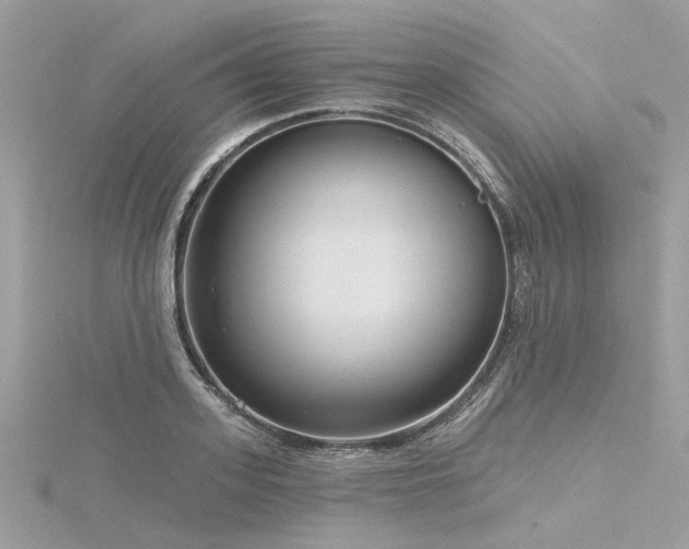 X0000116340939200912011346