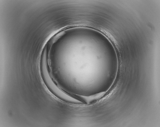 X0000116340941200912011346