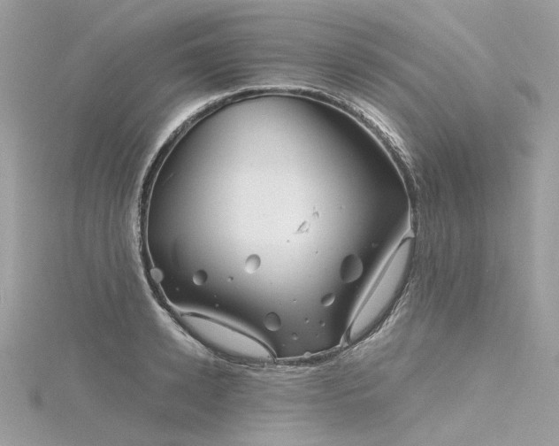 X0000116340942200912011346