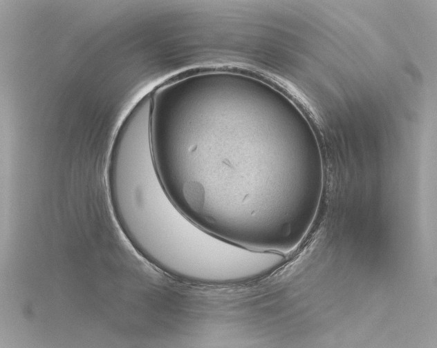 X0000116340943200912011346