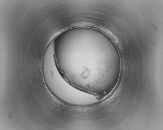 X0000116340945200912011346