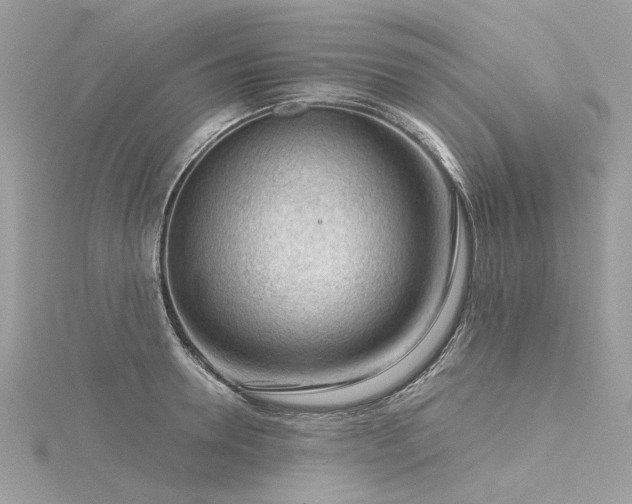 X0000116340946200912011346