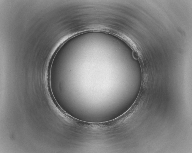 X0000116340947200912011346