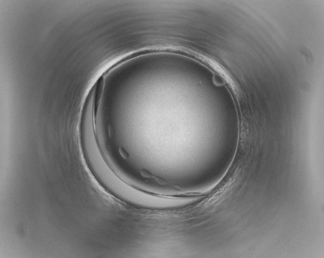 X0000116340951200912011346