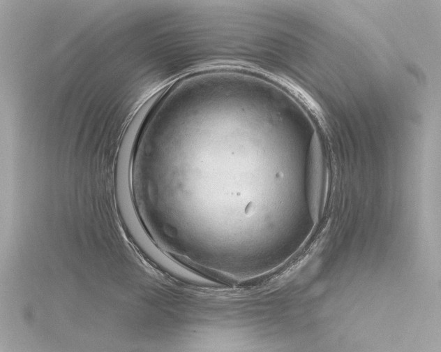 X0000116340953200912011346