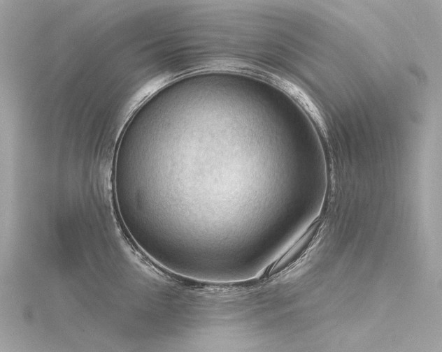 X0000116340954200912011346