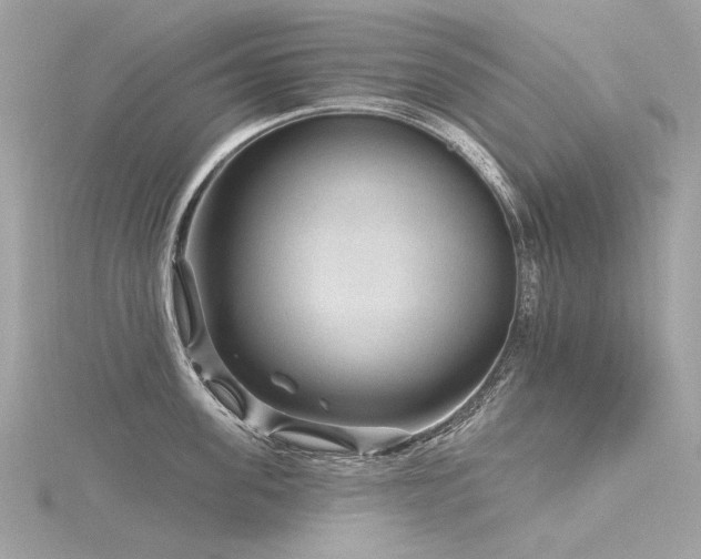 X0000116340955200912011346