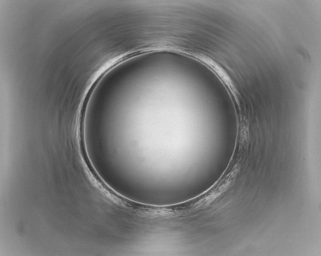 X0000116340957200912011346