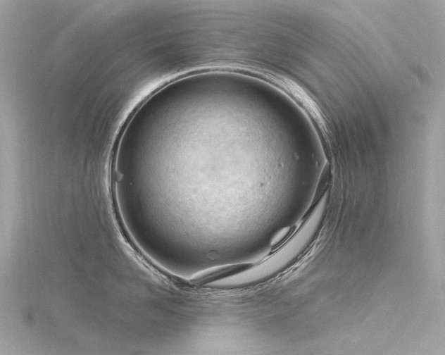 X0000116340958200912011346