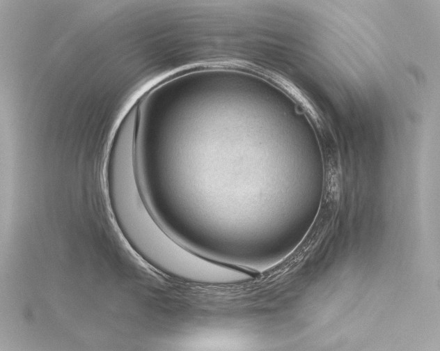 X0000116340959200912011347