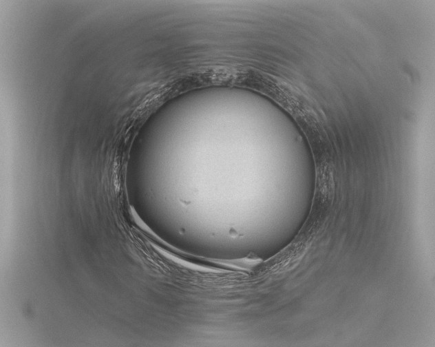 X0000116340962200912011346