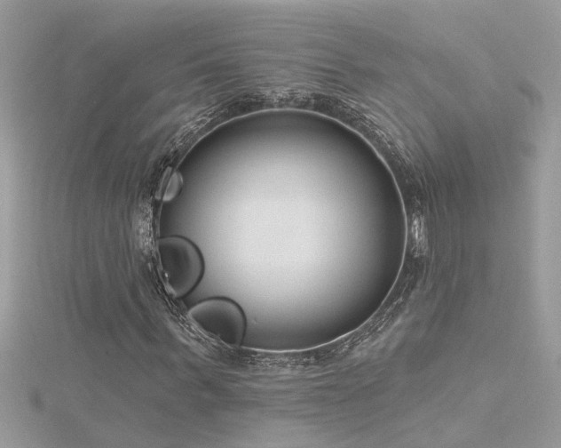 X0000116340963200912011346