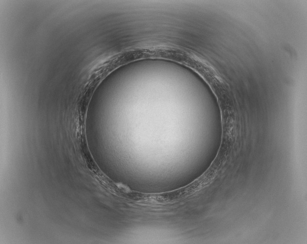 X0000116340966200912011346