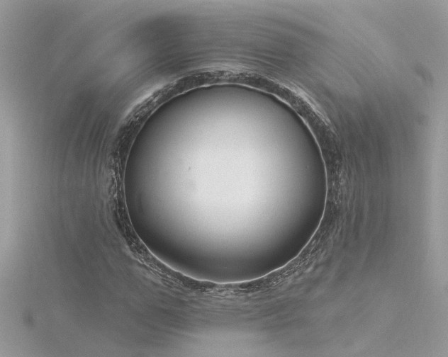 X0000116340967200912011346