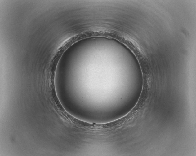 X0000116340968200912011346