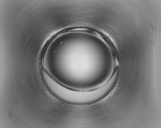 X0000116340973200912011346