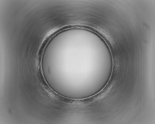 X0000116340974200912011346