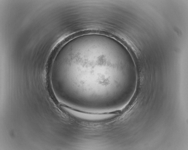 X0000116340975200912011346