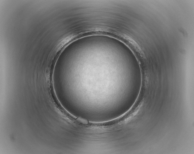 X0000116340977200912011346