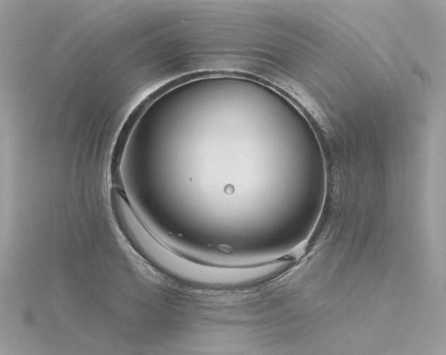 X0000116340980200912011346