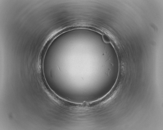 X0000116340981200912011346