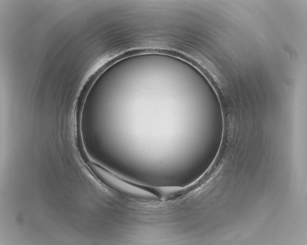 X0000116340982200912011346