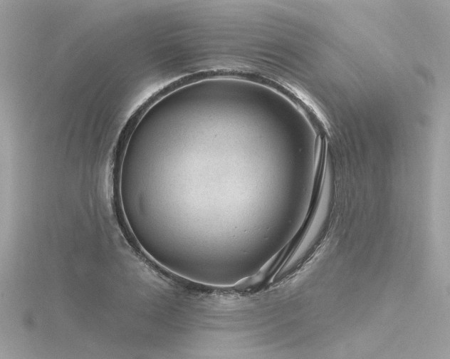 X0000116340983200912011346