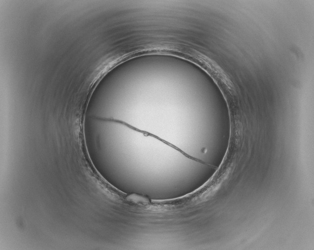 X0000116340985200912011346