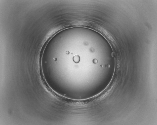 X0000116340986200912011346