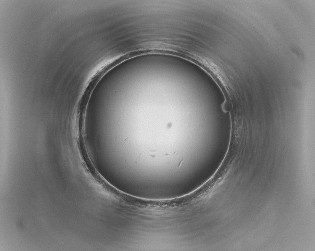 X0000116340987200912011346