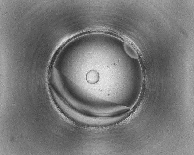 X0000116340989200912011346