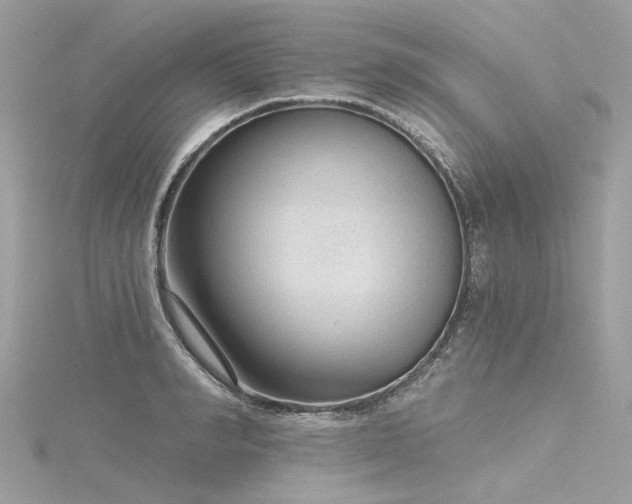 X0000116340990200912011345