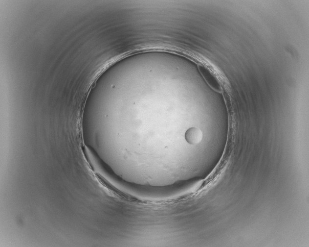 X0000116340993200912011345