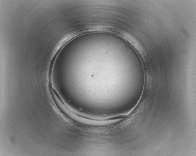 X0000116340994200912011345