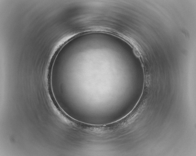 X0000116340995200912011345