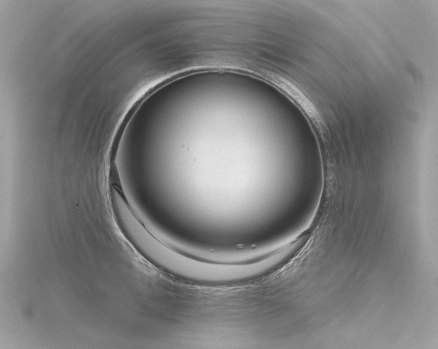 X0000116340996200912011345